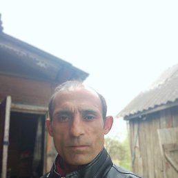 ���� �����, ������, 41 ��� - ��������� 20 ������� 2023