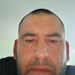 ������, ������, 36 ���