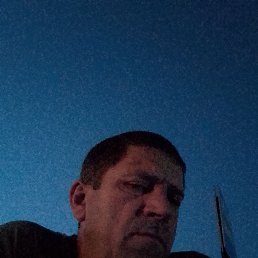 ����, ���������, 41 ���