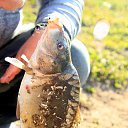 ���� ������, ������, 63 ���� - ��������� 26 ���� 2023