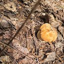 ���� ������, ������ - ��������� 23 ���� 2023 � ������ ������