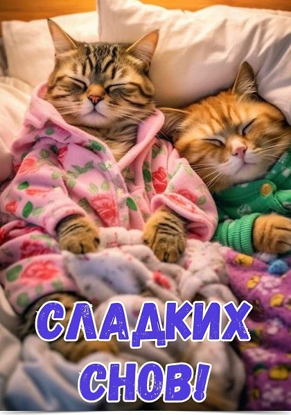 *--*--*--*--*--*--*--*--*