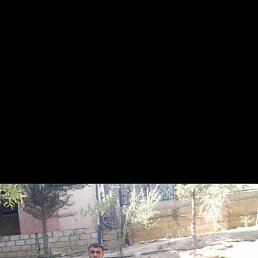 ���� Elmir, ����, 38 ��� - ��������� 8 �������� 2023