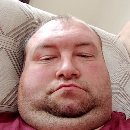 �����, ������, 40 ���