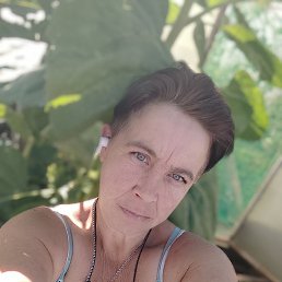 �������, ���������, 51 ���