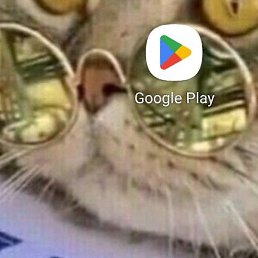 ������, ���������, 55 ���