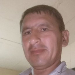 �������, ���������, 46 ���