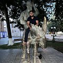 ���� ����, ���������, 30 ��� - ��������� 6 ������� 2023 � ������ ���� ����������