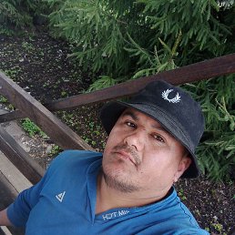 �����, �����-���������, 34 ����