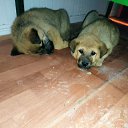 ���� Azer, ����, 36 ��� - ��������� 22 ������ 2023 � ������ ���� ����������