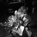 ���� ������, �����, 42 ���� - ��������� 14 ������ 2023 � ������ ������ ��������