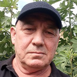 ������, ������, 62 ����