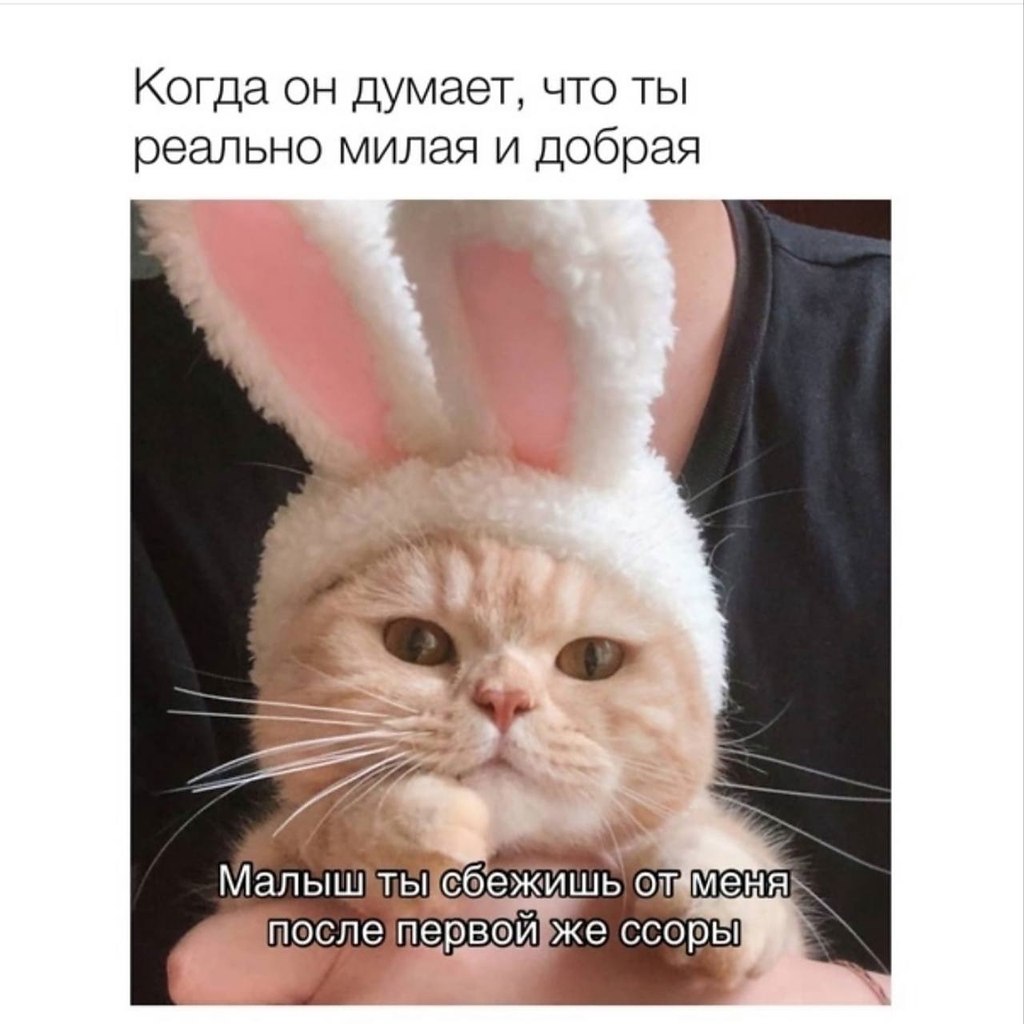    - 29  2023  02:28