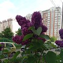 ���� ����, �����-���������, 70 ��� - ��������� 9 ���� 2023 � ������ ���� ����������