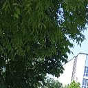 ���� ����, ������, 37 ��� - ��������� 11 ��� 2023