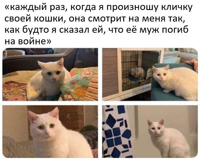    - 5  2023  22:22