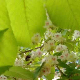 ���, ���������, 38 ���