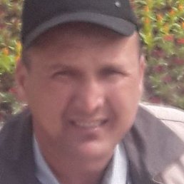 ����, �������, 42 ����