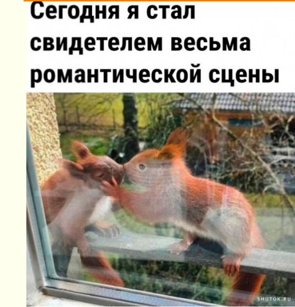  - 14  2023  16:26