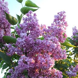 ���� ����, ������, 41 ��� - ��������� 15 ������� 2023