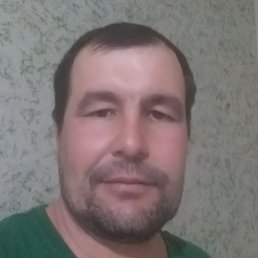 �����, ������, 40 ���