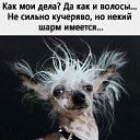  ,  -  17  2023    