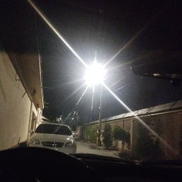 Timur, �����, 39 ���