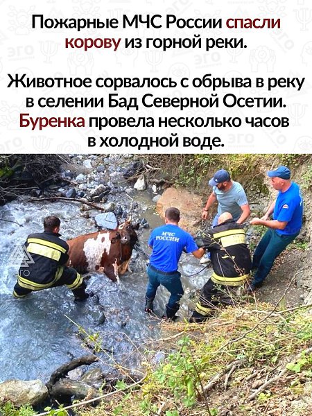 Жизнь каждого живого существа на планете важна не меньше, чем наша