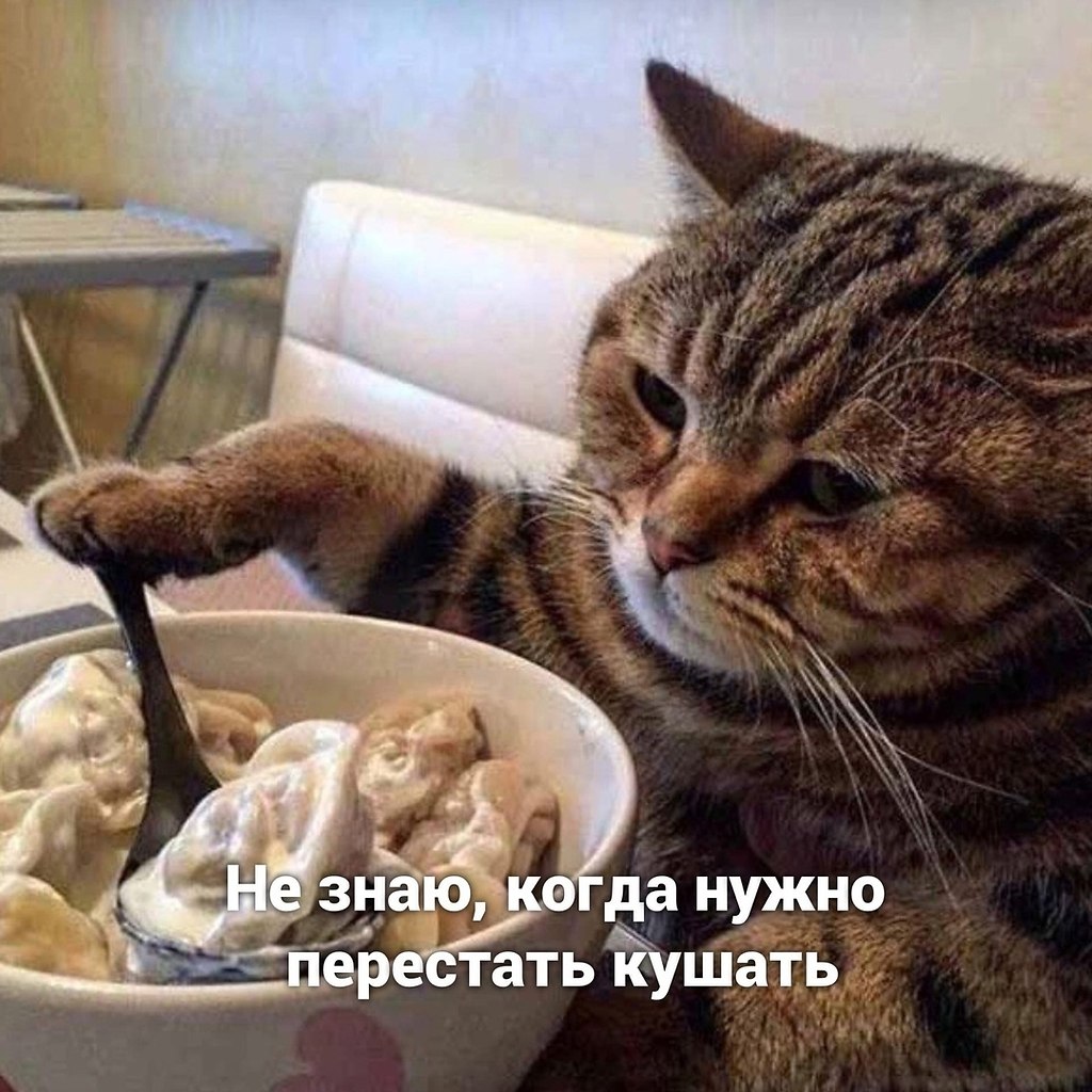    ? - 3