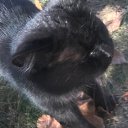 ���� ����, ������, 25 ��� - ��������� 15 ������� 2023 � ������ ���� ����������