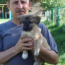 ���� ����, �������, 62 ���� - ��������� 10 �������� 2023 � ������ ���� ����������