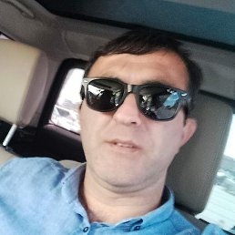 ������, ����, 41 ���