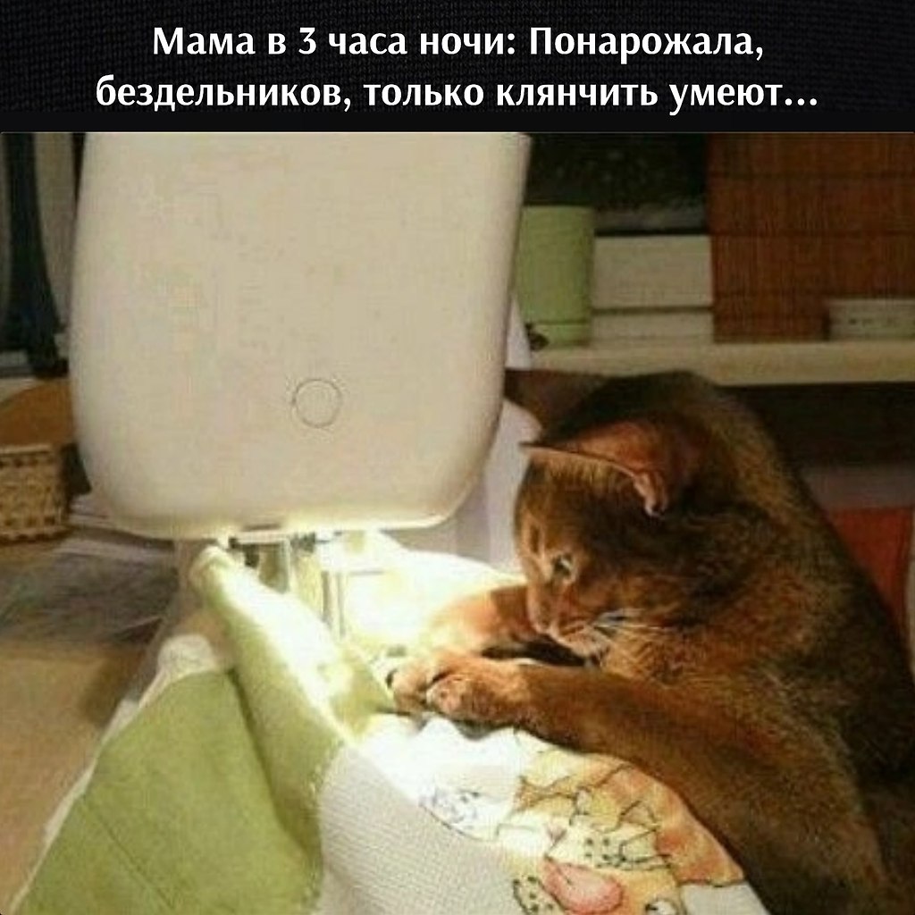       - 13  2023  12:34 - 3