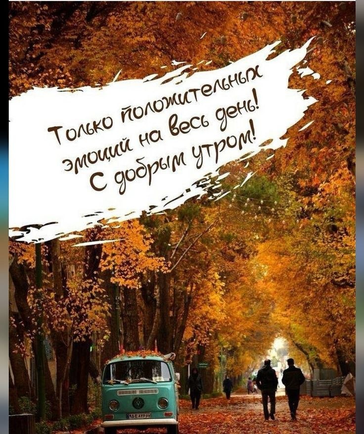   ""...    "", ...