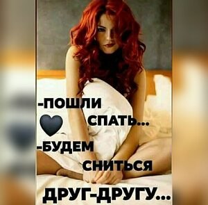   - 15  2023  21:41