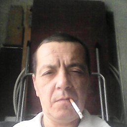 , 51, 
