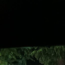 �����, �����������, 25 ���