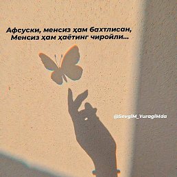 Zilol, �����, 31 ���