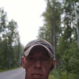 ���� ������, ���������, 41 ��� - ��������� 12 ���� 2023