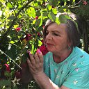 ���� �����, ������, 76 ��� - ��������� 18 ���� 2023