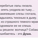 ���� ������, ��������, 53 ���� - ��������� 15 ����� 2023 � ������ ���� ����������