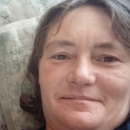 �����, �����������, 41 ���