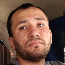 ������, ������, 33 ����