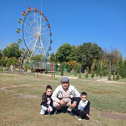 ����, �����-���������, 61 ���