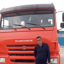 ������, ������, 52 ����