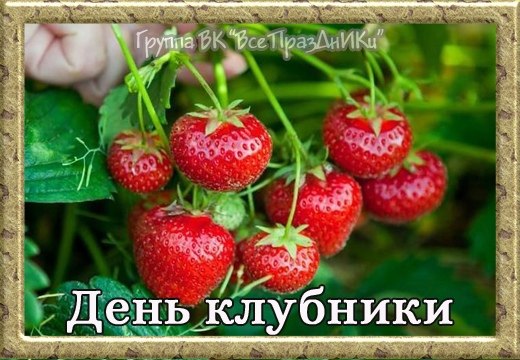   ,    . - 26  2023  21:47 - 4