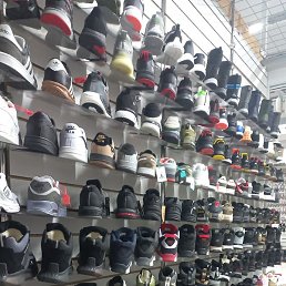 ����, �����������, 41 ���