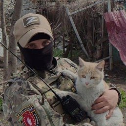 ����, ���������, 22 ����