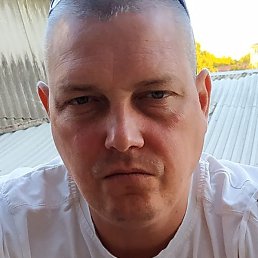 �����, ������, 38 ���