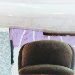 �����, ������, 62 ����